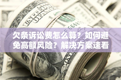 北京欠条诉讼费怎么算？如何避免高额风险？解决方案速看！