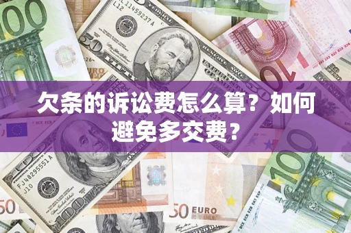 北京欠条的诉讼费怎么算？如何避免多交费？