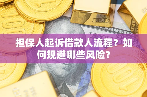 北京担保人起诉借款人流程？如何规避哪些风险？