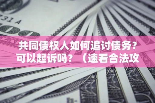 北京共同债权人如何追讨债务？可以起诉吗？（速看合法攻略）